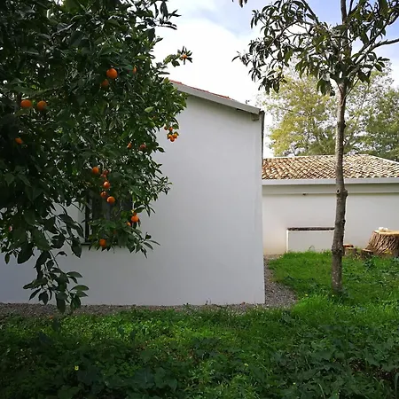 Inviting In With Swimming Pool Holiday home *