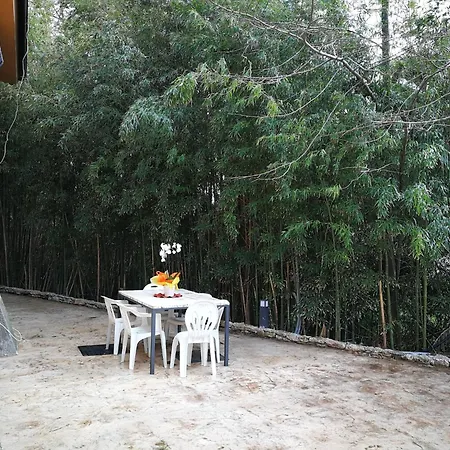 Holiday home Inviting In With Swimming Pool